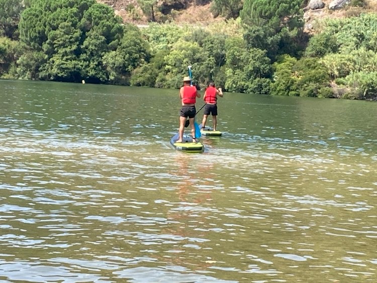 stand up paddle douro